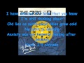 The Cribs - We Share The Same Skies with Lyrics
