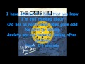 The Cribs - We Share The Same Skies with Lyrics ...