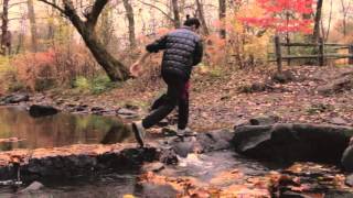 Genesis Land - Shachar Elnatan