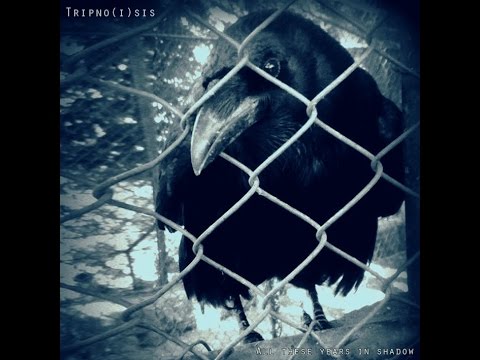 Tripno(i)sis - Lexilium