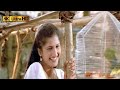 மயிலாடும் பாறை பக்கத்தில ஓடை பாடல் Mayil