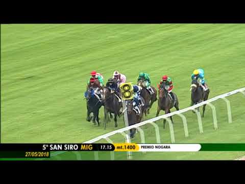 2018.05.27 Premio Nogara (ITA) - Intello Kiss