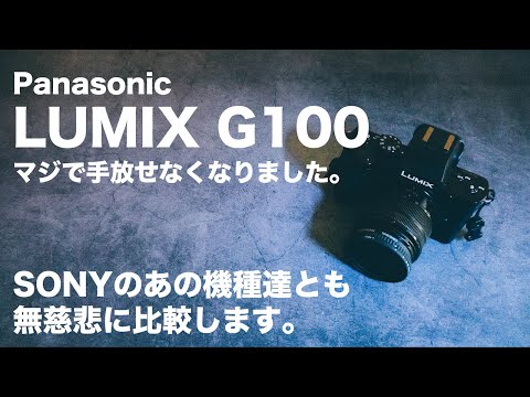 LUMIX DC-G100 中古 39,300円 | ネット最安値の価格比較 プライスランク