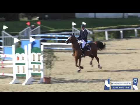 Moonlight 9yo Mare BWP (Ogano Sitte x Burgraaf) 1.30m CSI Arezzo