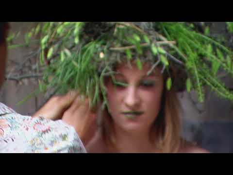 Blumen Edelweiss - Deutschnofen