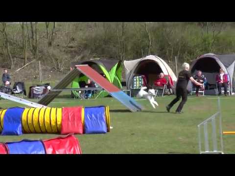 VereinsMeisterschaft 2017 1.  Lauf