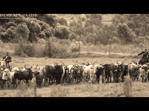 Quando o Azar pede Vaza - Volmir Coelho