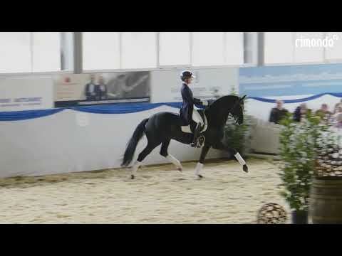 Fashion In Black NRW  - Hengstschau Holkenbrink 2024