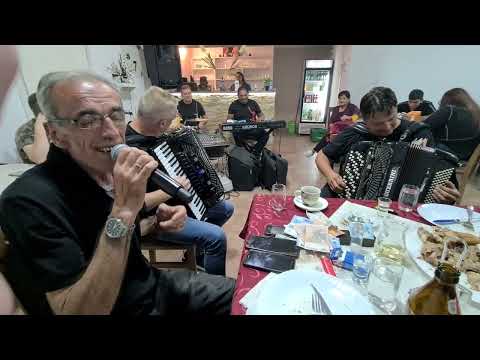 Darko Antic, Cole, Zvezdan Tomasevic - Jedna noc jedna luda noc (uzivo)