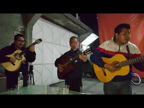 Tardes De Bohemia/Trío - Demasiado Tarde