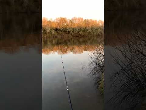 Atardecer “Paso del Sordo “ @CazaypescaUruguay  #fishing #viajesdepesca #fish