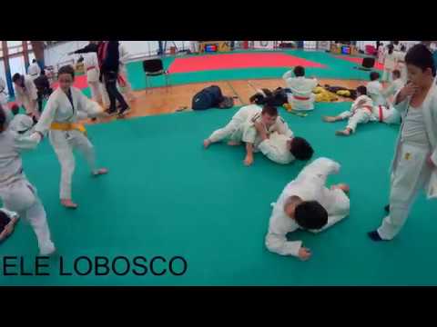 Gara JU JITSU Roma Palaolgiata 03/12/2017 Michele Lobosco