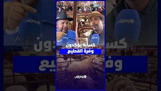 كسابة يؤكدون وفرة القطيع المخصص لعيد الأضحى ويرفضون التهجّم على الشنّاقة thumbnail