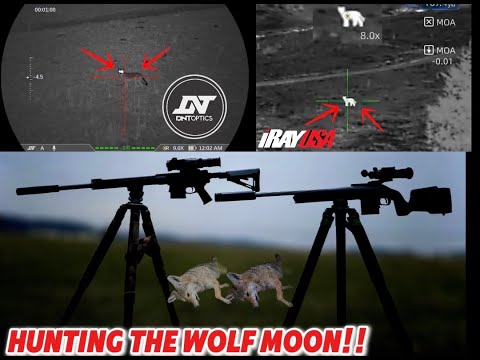 COYOTE HUNTING THE WOLF MOON! ULTRA CLEAR THERMAL+ NIGHTVISION. |EP6 2026 COYOTE SEASON|