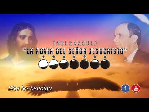 Las Plagas Después del Rapto # 2 - (26-04-2020)