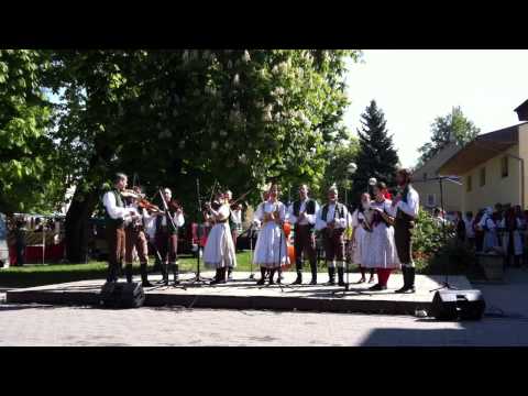 Vycpálkovci-muzika Tuchlovice 2011