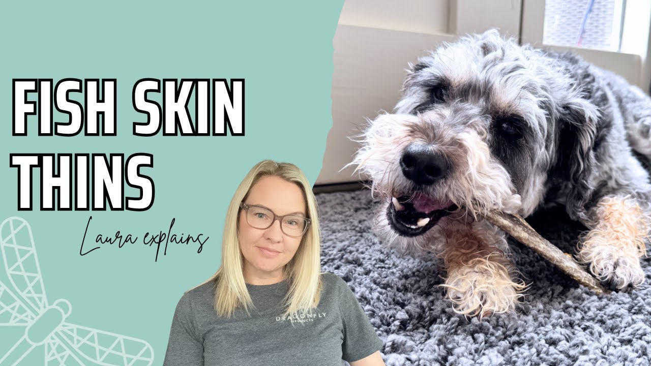 The Benefits of Fish Skin Thins for Dogs | Video