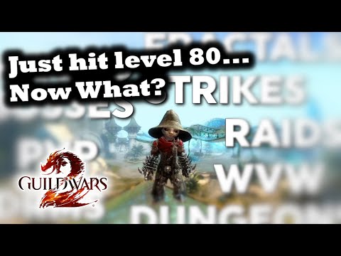 I just hit level 80... Now What? - A Guild Wars 2 Guide