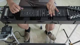 Dire Straits - Walk of Life - pedal steel solo by Paul Franklin - Part 1