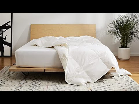 Top 5 Best Down Comforters of 2025 | Brooklinen Down Comforter Can Be the Best One for You!