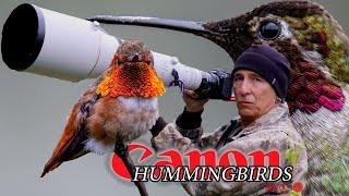 Hummingbirds at Kenneth Hahn Park