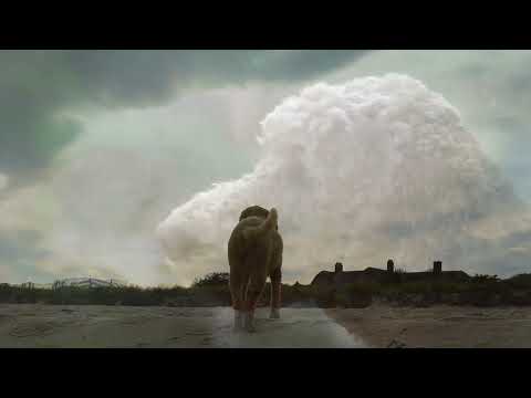 Wait For Me - dedicated to all our canine friends who wait patiently for us when we're not around.