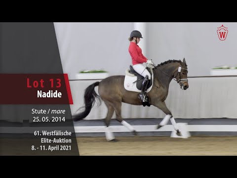 61. Elite-Auktion Trainingsvideo Lot 13 Nadide Stute v. Nobel Nagano NRW -   Montreal
