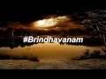 BRINDHAVANAM RAJ PIRATE KAYDEE LYRICAL VIDEO