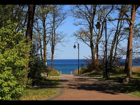 TADEUSZ WOŹNIAKOWSKI  - SPACER Z WIOSNĄ