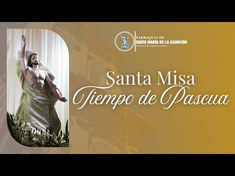 Santa Misa del IV Domingo de Pascua (26 de abril de 2026 - 08:00 h)