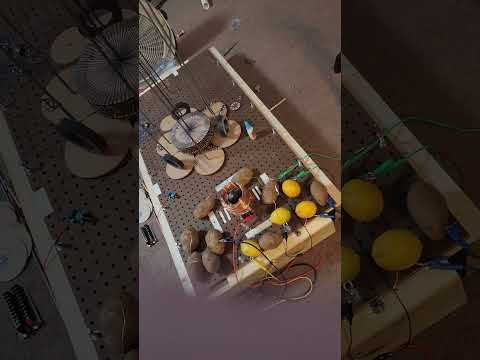Donut Magnets — Outside Poles & Motion