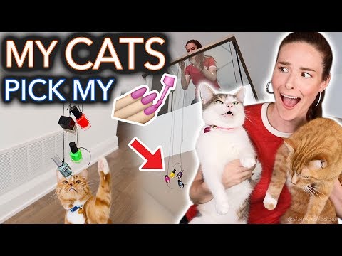 My Cats Pick My Nail Polish (extreme)