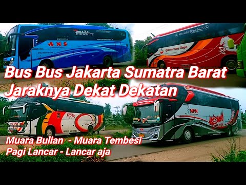 #BusMinang BUS BUS MINANG MELINTAS PAGI JARAKNYA LUMAYAN DEKAT DEKATAN ‼️BULIAN TEMBESI LANCAR