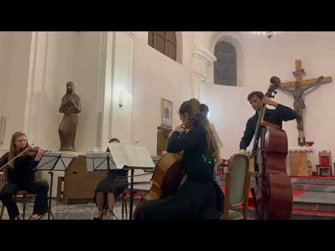 Franz Schubert: String quintet in C major, D.956