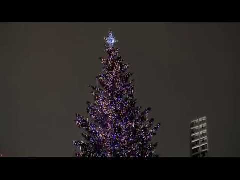 Giant holiday tree lights up Churchill Square