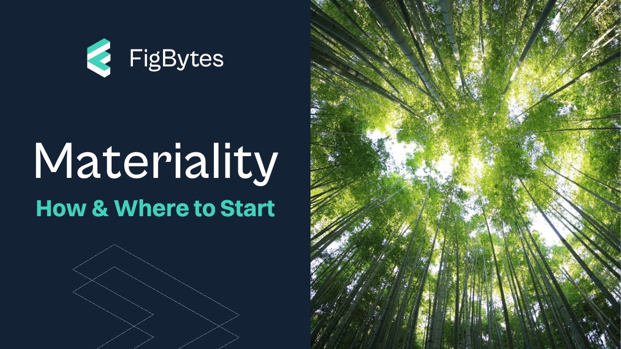 How and Where to Start a Materiality Assessment