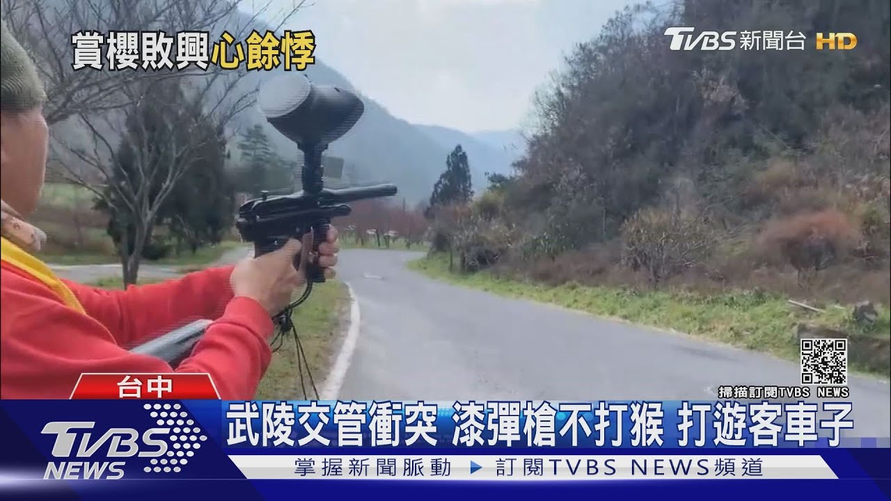 武陵交管衝突!漆彈槍不打猴子 打遊客車子