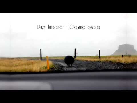 Duży Inaczej - Czarna owca