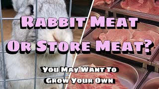 Rabbit Meat Or Store Meat?