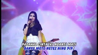 Download lagu Nella Kharisma - Tak Antem Watu mp3