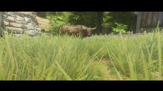 Skyrim Mod - Verdant shorter grass version