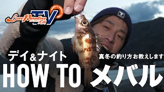 ライトゲーム Salt Water 海釣り Jackall ジャッカル ルアー ライトゲーム Salt Water 海釣り Jackall ジャッカル ルアー