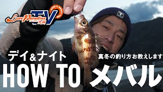 [Lure Paradise Kyushu] Морской окунь на полуострове Нагаме, префектура Оита / YASUYUKI ICHIMIYA