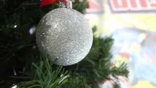 Joe's Karting - Buddy Ray on Racing with the Stars