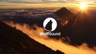 Peacetreaty - in time (Gatis Girdenis remix) [Wolf Sound]