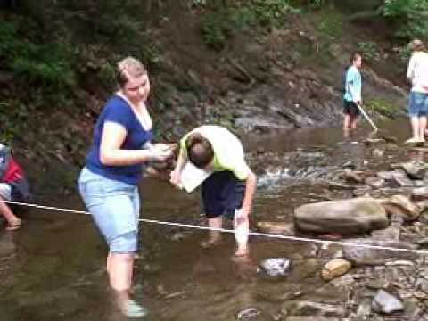 Stream Cross Section