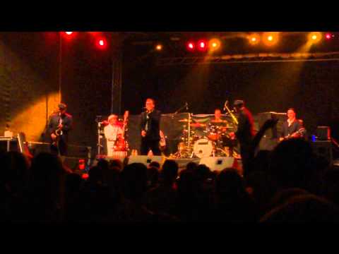 The Slackers - Wasted Days (Live at Punk Rock Holiday 1.2.)