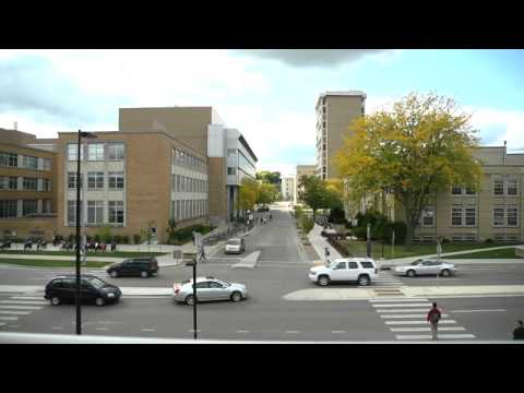 The CAVE: Aiding and Improving Research and its Researchers at WID