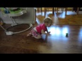 Baby Crawling Skills Part 2 MOV