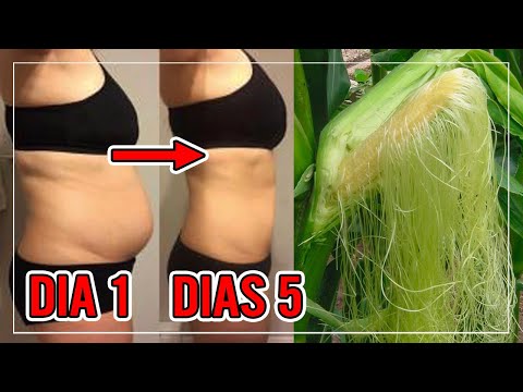 BAJA HASTA 5 KILOS EN 5 DIAS CON ESTOS BATIDOS Y AGUAS LOS MEJORES PARA BAJAR DE PESO Y BARRIGA